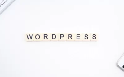 WordPress e DIVI – Combinação imbatível